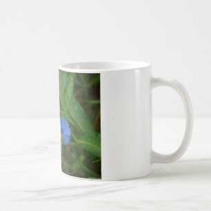 Asiatische Tagblume Blau Wilde Blume Bekleidung & Kaffeetasse