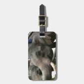 Asiatischen Elefanten Bananen in Thailand füttern! Gepäckanhänger (Vorderseite vertikal)