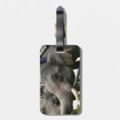 Asiatischen Elefanten Bananen in Thailand füttern! Gepäckanhänger (Rückseite vertikal)