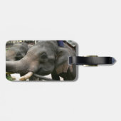 Asiatischen Elefanten Bananen in Thailand füttern! Gepäckanhänger (Rückseite horizontal)