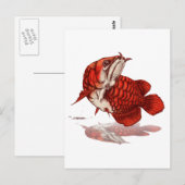 Asiatischer Amöan Postkarte (Vorne/Hinten)