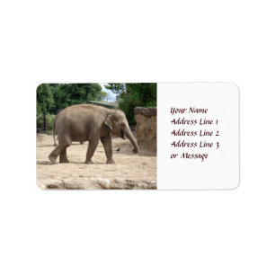 Asiatischer Elefant, der auf Sand-Aufkleber geht Adressaufkleber