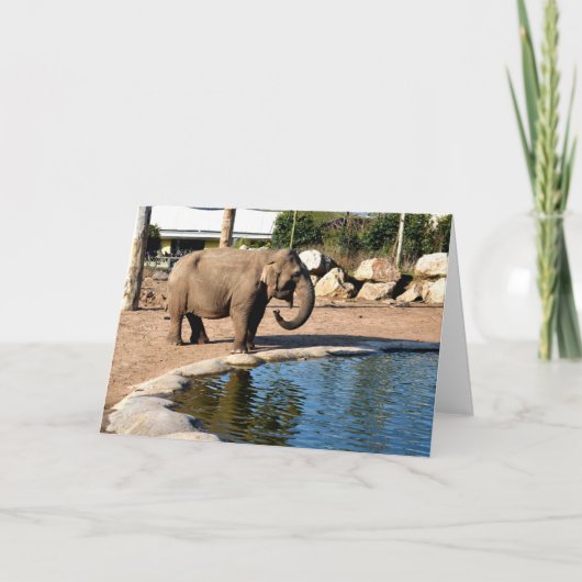 Asiatischer Elefant Feiertagskarte (Vorderseite)