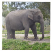 Asiatischer Elefant Fliese (Vorderseite)