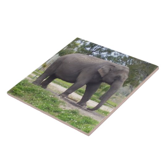 Asiatischer Elefant Fliese (Seite)