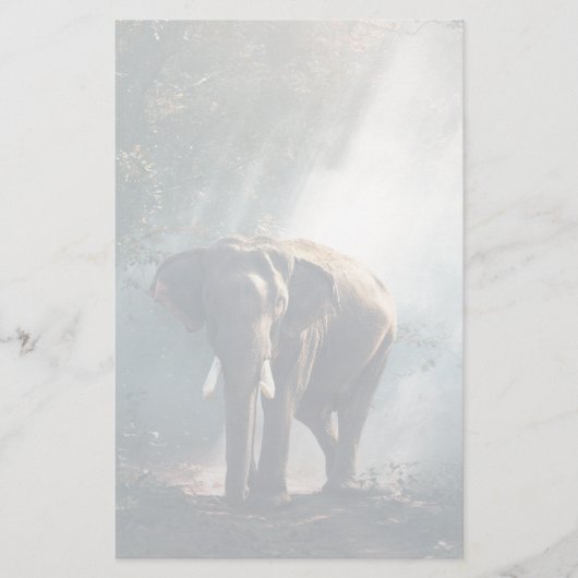 Asiatischer Elefant in einem sonnenbeleuchteten Wa Briefpapier (Vorderseite)