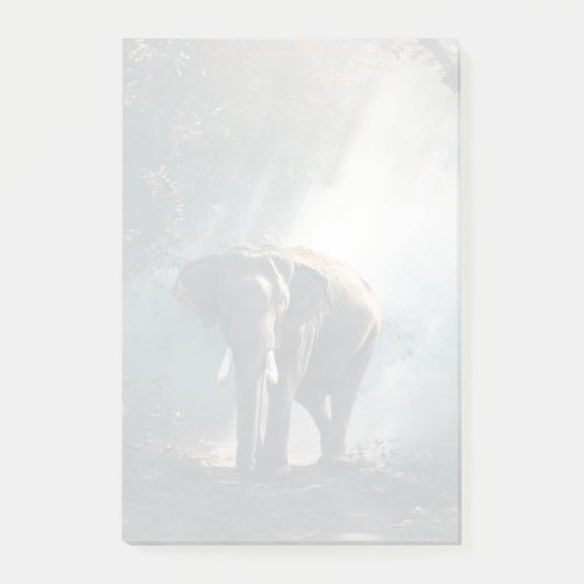 Asiatischer Elefant in einem sonnenbeleuchteten Wa Post-it Klebezettel (Vorderseite)