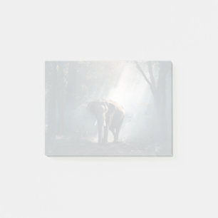 Asiatischer Elefant in einem sonnenbeleuchteten Wa Post-it Klebezettel