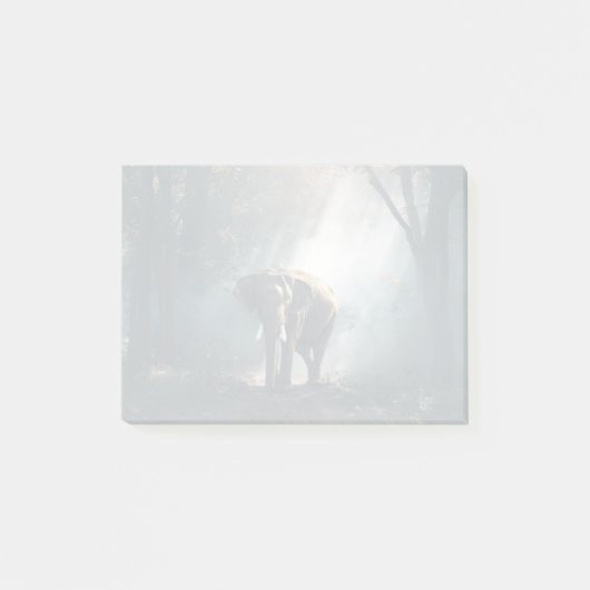 Asiatischer Elefant in einem sonnenbeleuchteten Wa Post-it Klebezettel (Vorderseite)