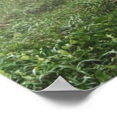 Asiatischer Elefant in Thailand Poster (Ecke)