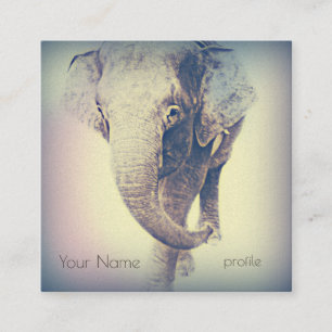 Asiatischer Elefant in Vintage-Farben Quadratische Visitenkarte