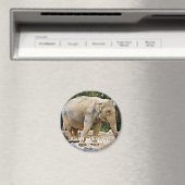 Asiatischer Elefant Magnet (In Situ (Geschirrspüler))
