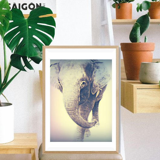 Asiatischer Elefant mit Vintage-Farben Poster