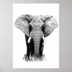 Asiatischer Elefant Pop Schwarz & Weiß Art Poster