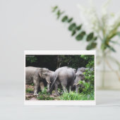 Asiatischer Elefant Postkarte (Stehend Vorderseite)