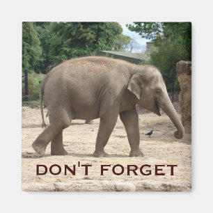 Asiatischer Elefant-Save the Date Magnet