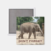 Asiatischer Elefant speichert das Datumsfenster Magnet (Vorderseite/Rückseite)