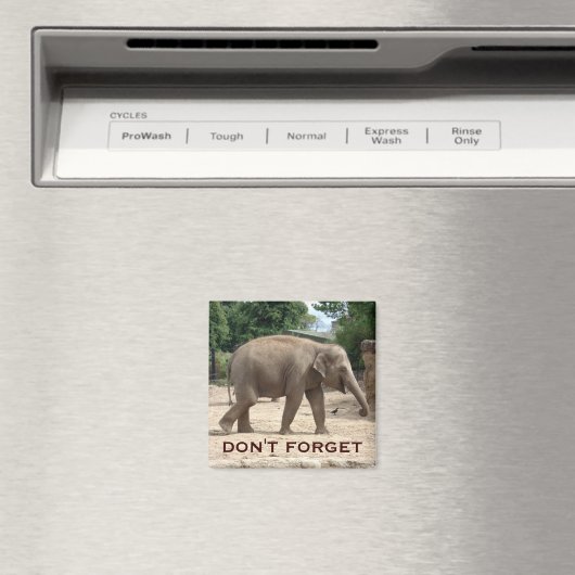 Asiatischer Elefant speichert das Datumsfenster Magnet (In Situ (Geschirrspüler))