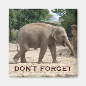 Asiatischer Elefant speichert das Datumsfenster Magnet (Vorne)