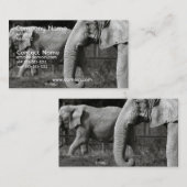 Asiatischer Elefant-Visitenkarte Visitenkarte (Vorne/Hinten)