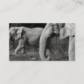 Asiatischer Elefant-Visitenkarte Visitenkarte (Rückseite)