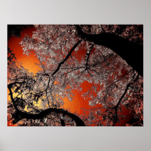 asiatischer Himmel Poster