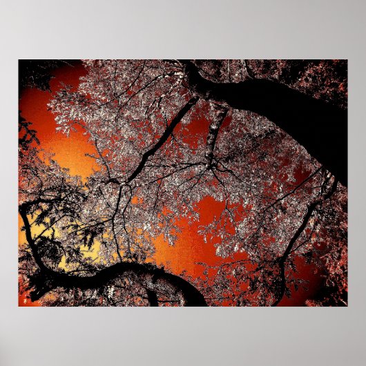 asiatischer Himmel Poster (Vorne)