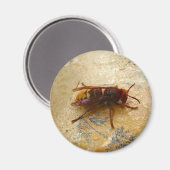 Asiatischer Hornet Magnet (Vorderseite/Rückseite)