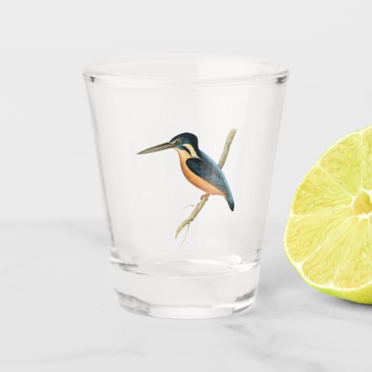 Asiatischer Kingfisher Schnapsglas (Vorderseite)