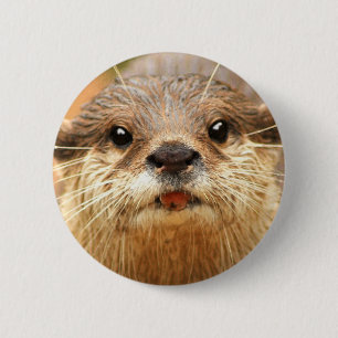 Asiatischer kleiner gekratzter Otter Button