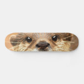 Asiatischer kleiner gekratzter Otter Skateboard (Horizontal)