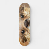 Asiatischer kleiner gekratzter Otter Skateboard (Vorderseite)