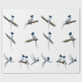 Asiatischer Paradiesfliegenschnäpper Blauköpfiger  Geschenkpapier