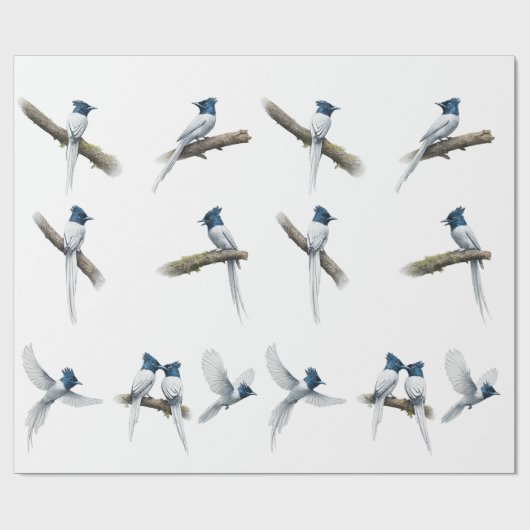 Asiatischer Paradiesfliegenschnäpper Blauköpfiger Geschenkpapier (Flach)