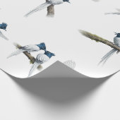 Asiatischer Paradiesfliegenschnäpper Blauköpfiger Geschenkpapier (Ecke)