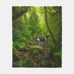 Asiatischer Regenwalddschungel, Wald, Umwelt Fleecedecke