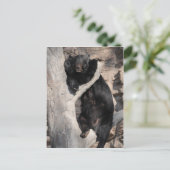 Asiatischer Schwarzbär Postkarte (Stehend Vorderseite)