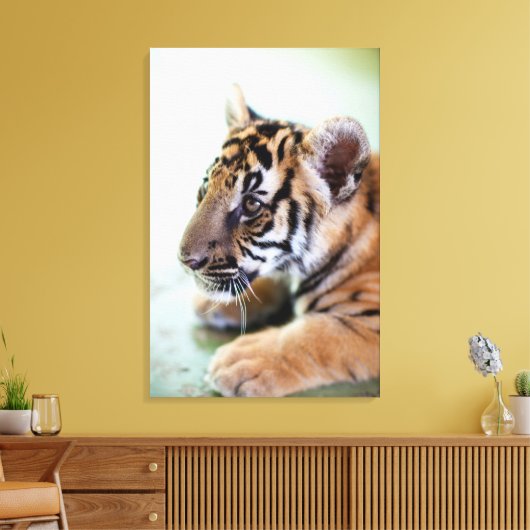 Asiatischer Tiger Leinwanddruck (Insitu (Wohnzimmer))