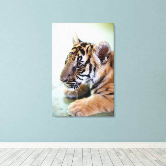 Asiatischer Tiger Leinwanddruck (Insitu (Holzboden))