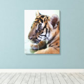 Asiatischer Tiger Leinwanddruck (Insitu (Holzboden))