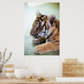 Asiatischer Tiger Poster (Küche)