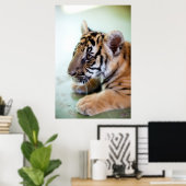 Asiatischer Tiger Poster (Heimbüro)