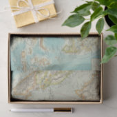 Asiatisches Archipel 2 Seidenpapier (Geschenk)