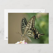 asiatisches Frack Postkarte (Vorne/Hinten)