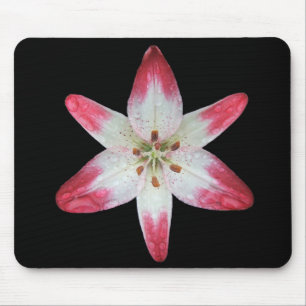 Asiatisches Lilien-"Lutscher" ~ mousepad
