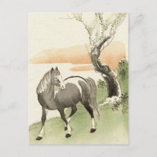 Asiatisches Pferd Vintage Postkarte