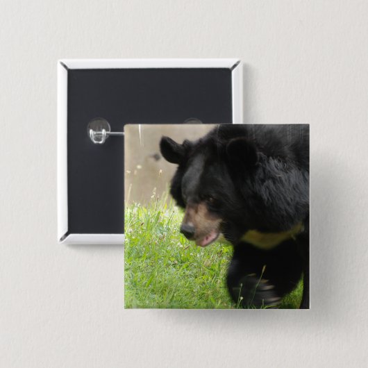 Asiatisches schwarzer Bärn-Button Button (Vorne & Hinten)