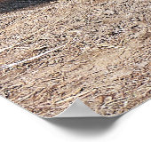 Asiatisches Wasserbüffel Poster (Ecke)