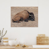 Asiatisches Wasserbüffel Poster (Küche)