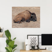 Asiatisches Wasserbüffel Poster (Heimbüro)